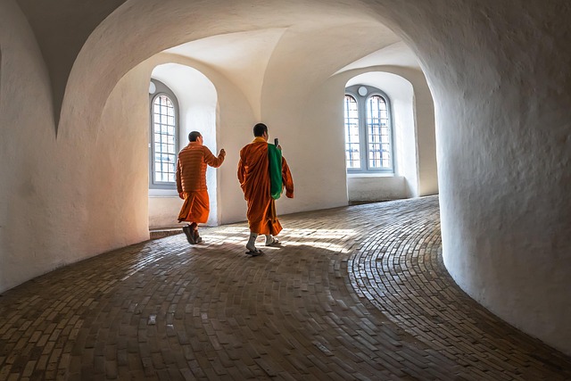 Sådan finder du den billigste måltidskasse til din familie